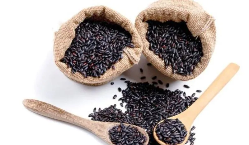 Health Tips: डायबिटिक मरीजों के लिए रामबाण है ब्लैक राइस, ब्लड शुगर रहेगा कंट्रोल