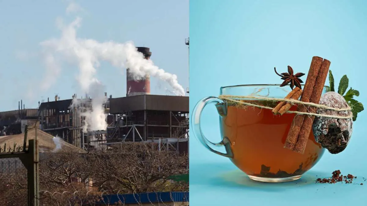 Air Pollution: मुलेठी और कच्ची हल्दी समेत इन आयुर्वेदिक काढ़ा से लंग्स होंगे मजबूत