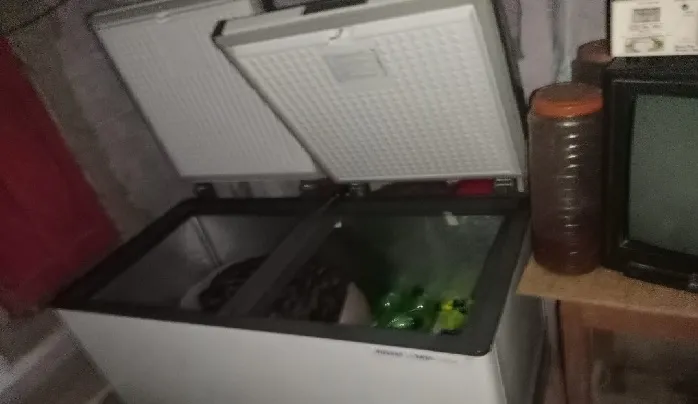Deep Freezer Murder