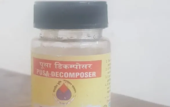 बरेली: बायो डिकंपोजर से पराली होगी नष्ट, जमीन होगी उपजाऊ