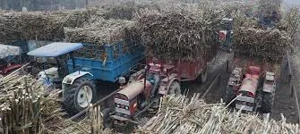 खटीमा: गन्ना तौल शुरू नहीं होने पर किसानों ने किया प्रदर्शन