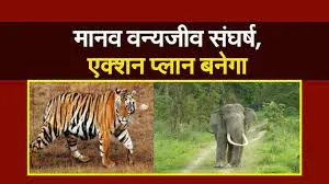 देहरादून: मानव वन्यजीव संघर्ष की रोकथाम को सीटीआर में शुरू होगा प्रोजेक्ट