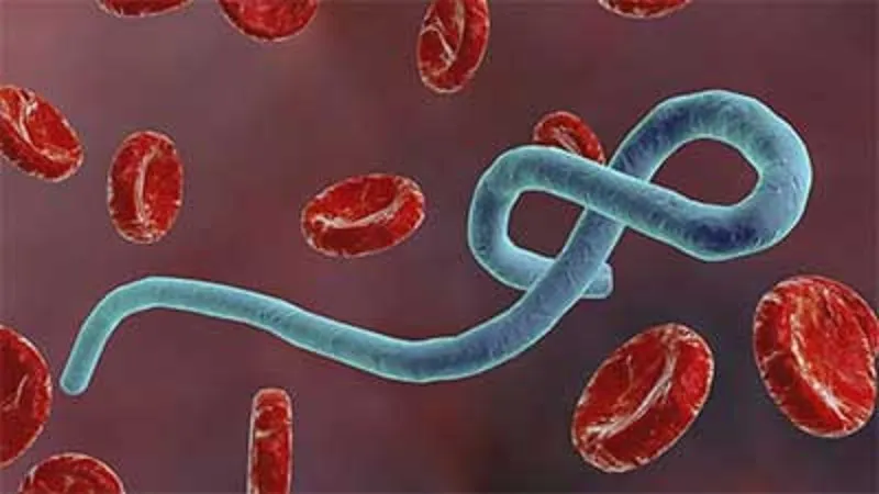 Ebola Case: पूर्वी युगांडा में तेजी से फैल रहा है इबोला वायरस, 135 मामले दर्ज