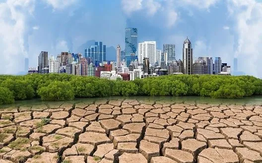 कम डकार, अधिक मांस और दूध - पशुधन किसान जलवायु संकट से निपटने में कर सकते हैं मदद 