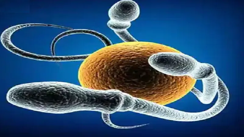 बीमारियों की भविष्यवाणी करने में करेगा मदद हार्मोन, जानिए कैसे?