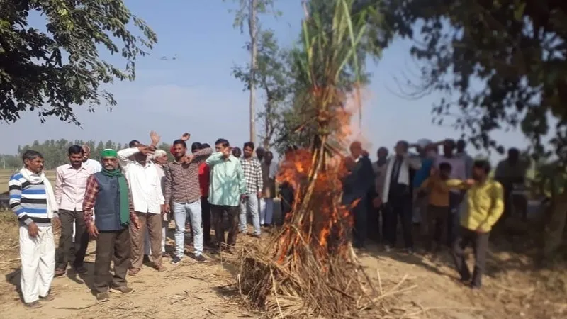 संभल: भाकियू असली ने जलाई गन्ने की होली, भुगतान को लेकर किसानों में रोष