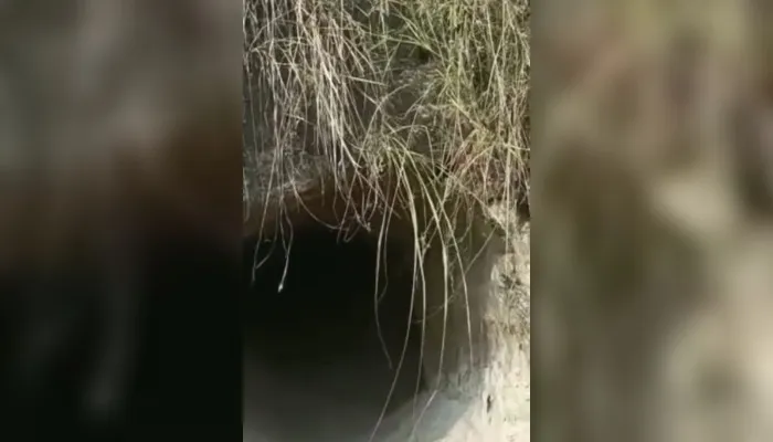 कानपुर में सामने आया अजब-गजब मामला, खजाने के लिए चोरों ने खोद डाली तीन मीटर सुरंग, जानें फिर क्या हुआ