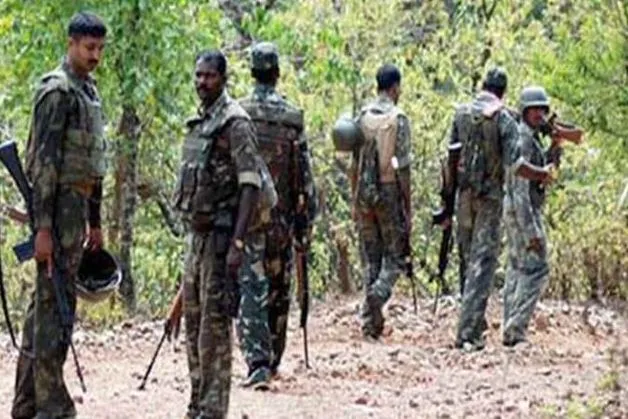 छत्तीसगढ़: जंगल में मिला एक नक्सली का शव, जांच में जुटी पुलिस