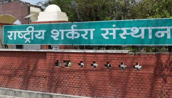 Kanpur News : NSI पहली बार देश से बाहर करेगा इंटरनेशनल कांफ्रेंस, 30 देशों के 500 से ज्यादा प्रतिनिधि जुड़ेंगे