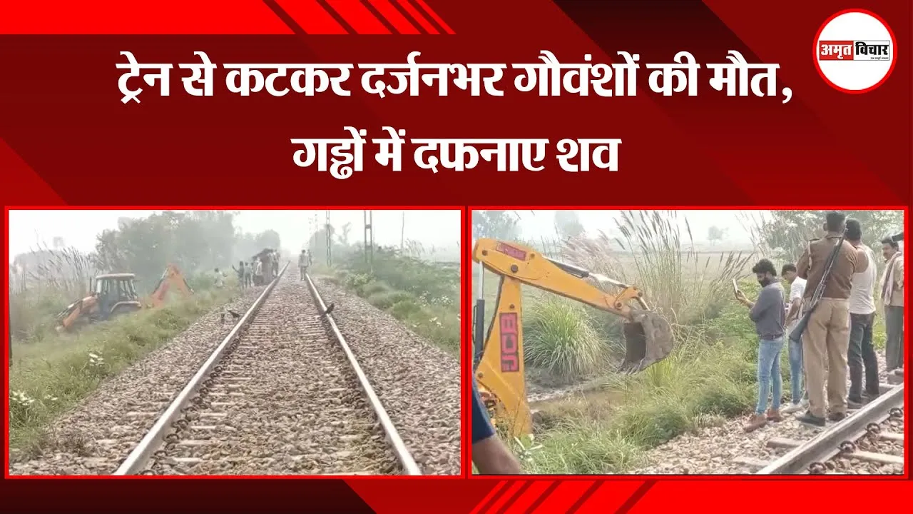 मथुरा: ट्रेन से कटकर दर्जनभर गौवंशों की मौत, गड्ढों में दफनाए शव