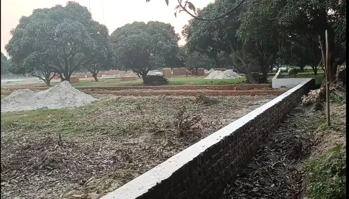 अयोध्या: मैंगो बेल्ट तक पहुंचे प्रॉपर्टी डीलर, बाग उजाड़ करा रहे प्लाटिंग