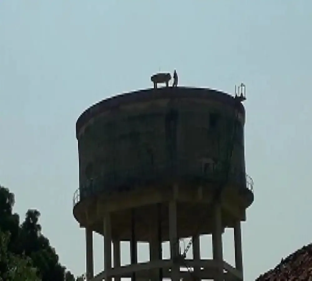 MP:  बेटा न होने पर तानों से तंग महिला ने दो वर्षीय बेटी समेत पानी की टंकी में कूदकर दी जान