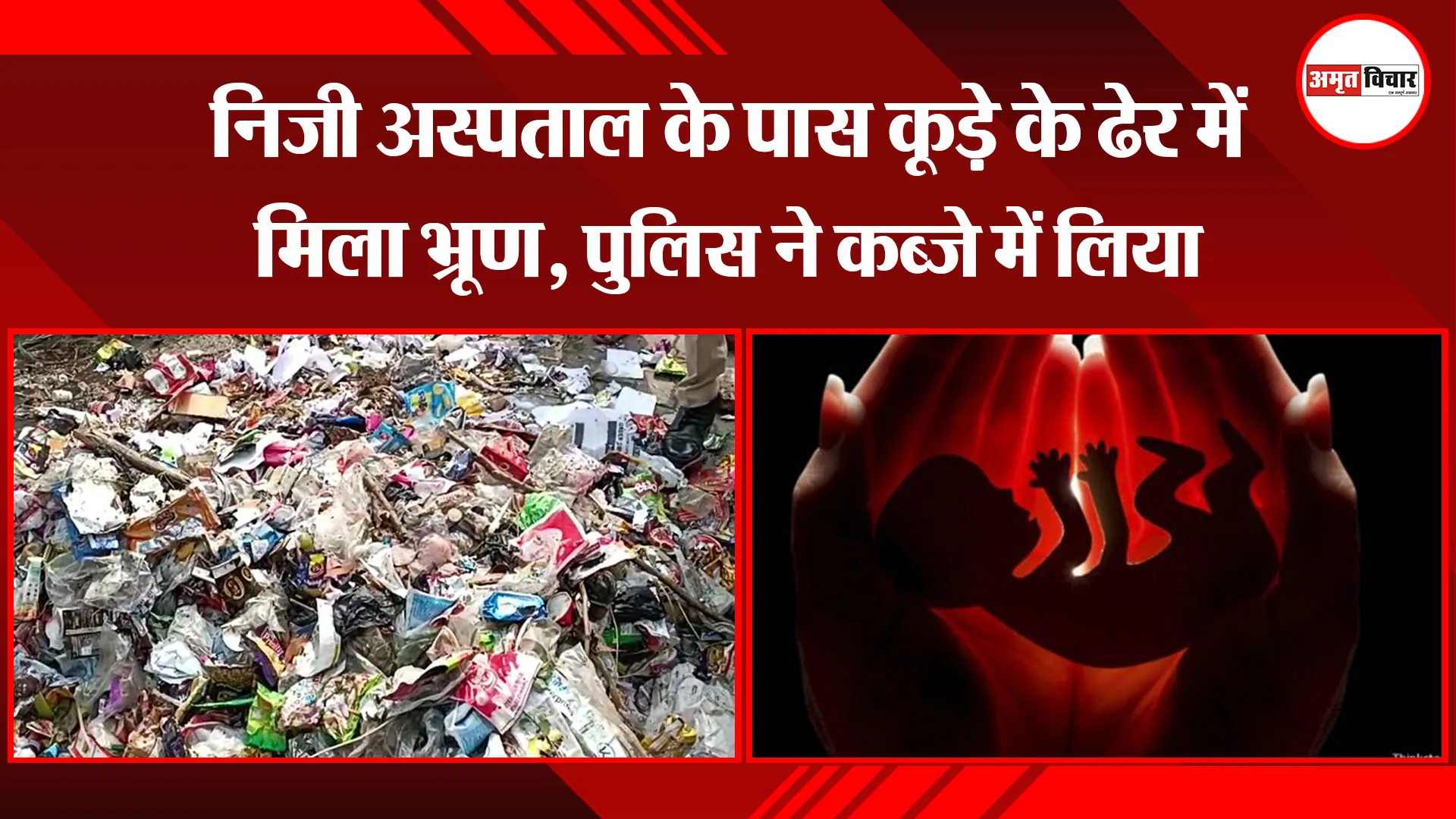 पीलीभीत: निजी अस्पताल के पास कूड़े के ढेर में मिला भ्रूण, पुलिस ने कब्जे में लिया