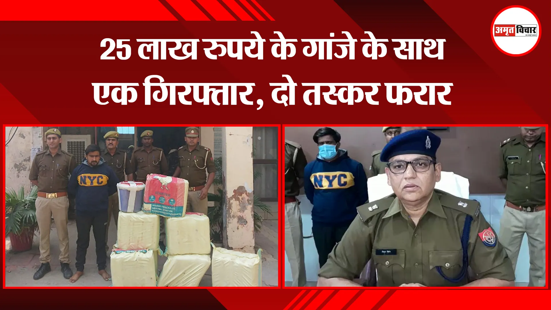 मथुरा: 25 लाख रुपये के गांजे के साथ एक गिरफ्तार, दो तस्कर फरार | Amritvichar