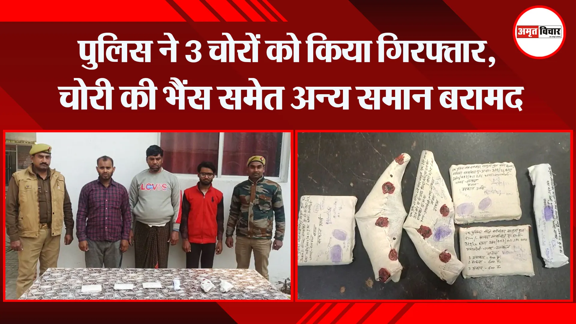 संभल: पुलिस ने 3 चोरों को किया गिरफ्तार, चोरी की भैंस समेत अन्य समान बरामद