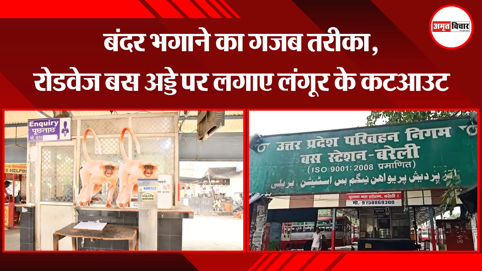 बरेली: बंदर भगाने का गजब तरीका, रोडवेज बस अड्डे पर लगाए लंगूर के कटआउट