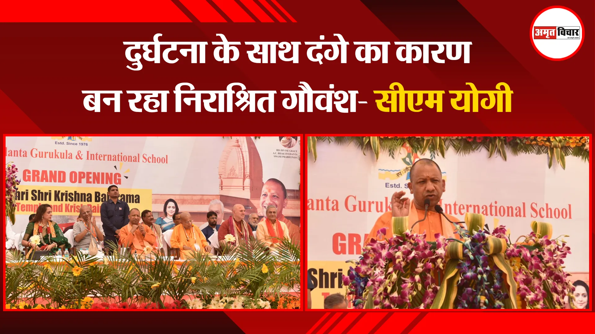 मथुरा: दुर्घटना के साथ दंगे का कारण बन रहा निराश्रित गौवंश- सीएम योगी