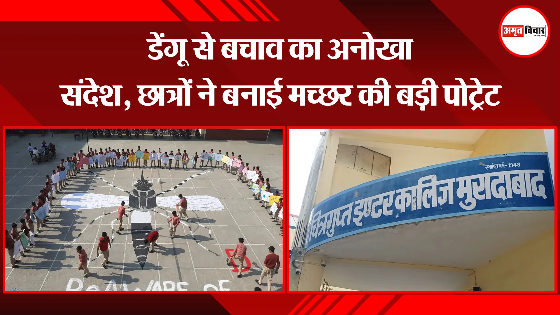 मुरादाबाद: डेंगू से बचाव का अनोखा संदेश, छात्रों ने बनाई मच्छर की बड़ी पोट्रेट