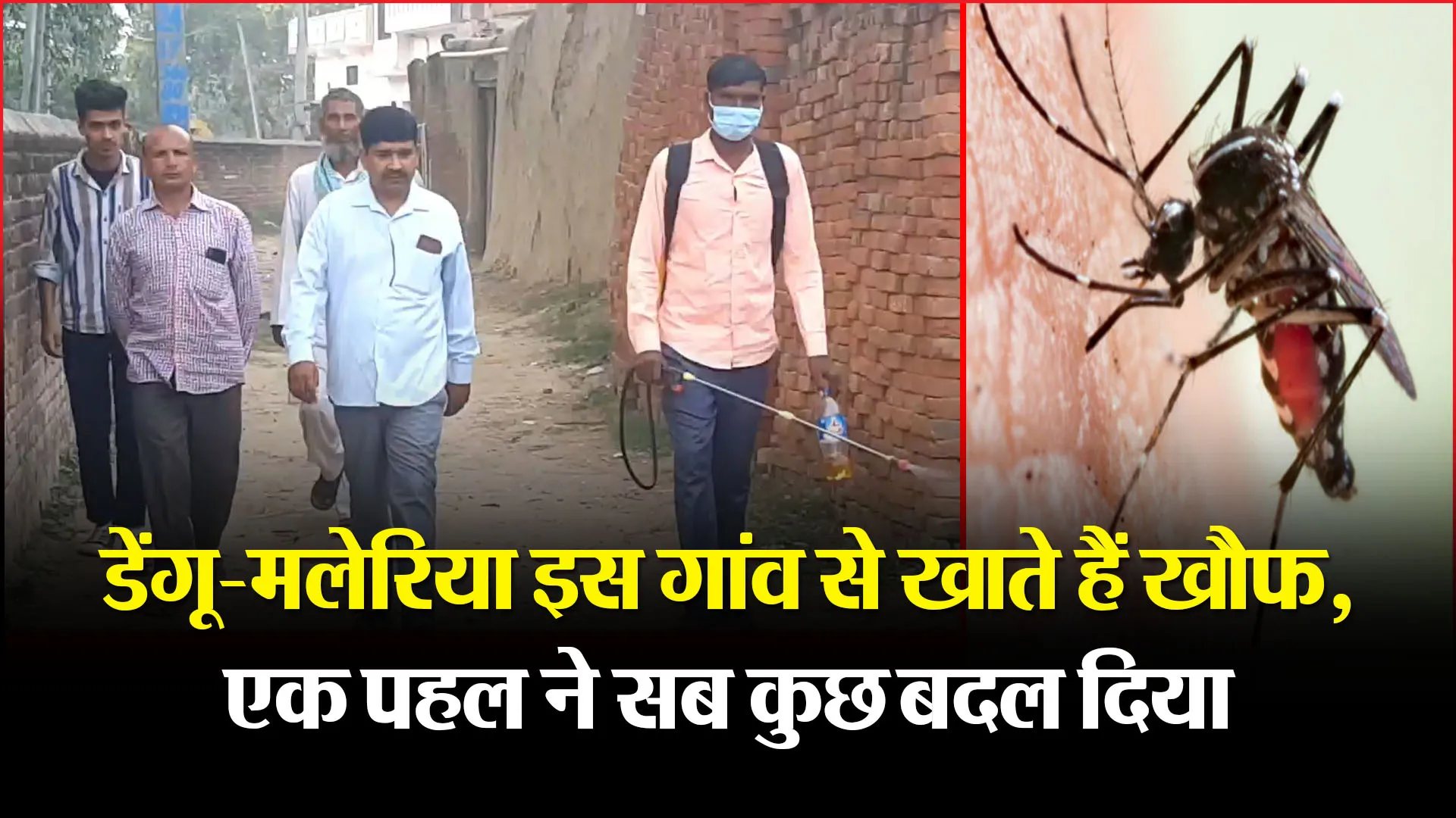 मुरादाबाद: डेंगू-मलेरिया इस गांव से खाते हैं खौफ, एक पहल ने सब कुछ बदल दिया