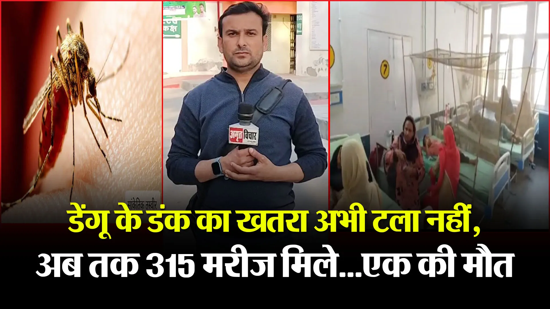 मुरादाबाद: डेंगू के डंक का खतरा अभी टला नहीं, अब तक 315 मरीज मिले...एक की मौत