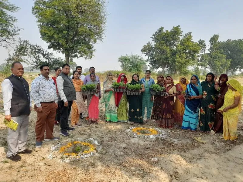 इटावा: थाईलैंड की थाई प्रजाति के अमरूद की बागवानी करेंगी महिलाएं 