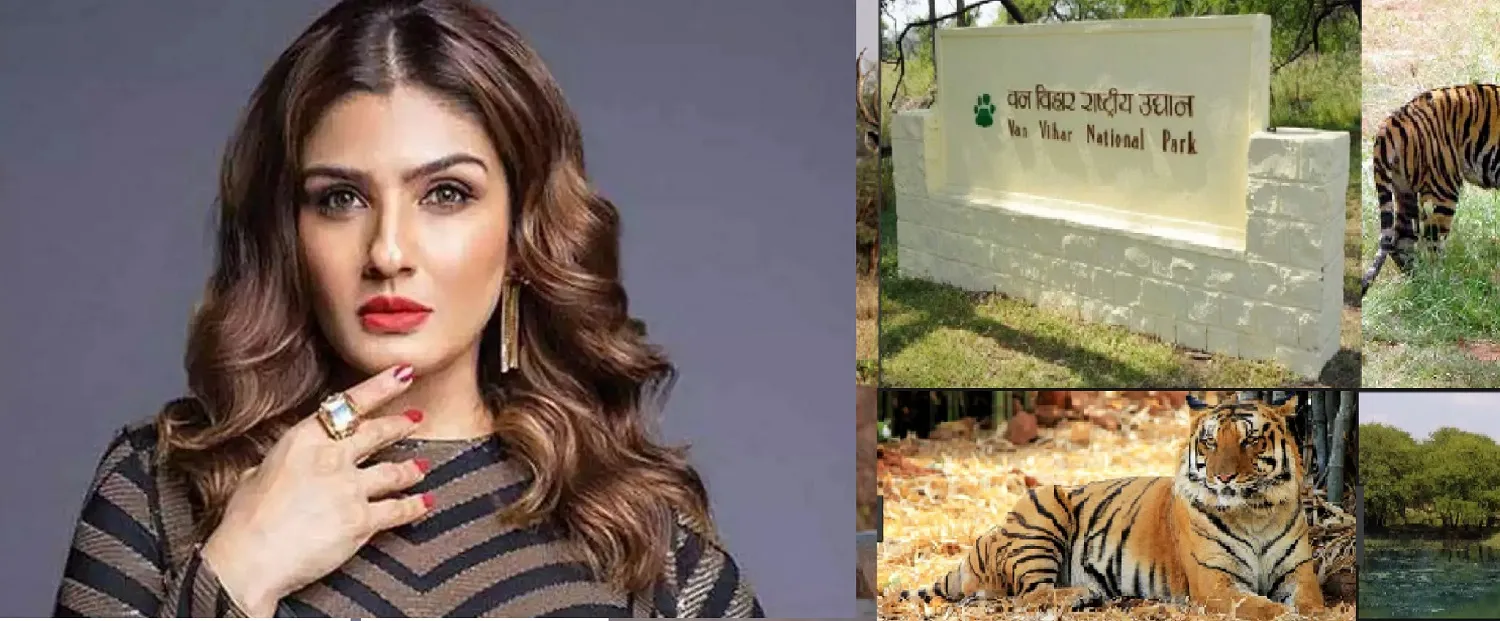 रवीना की शिकायत, वन विहार में बदमाश बाघों पर करते हैं पथराव 