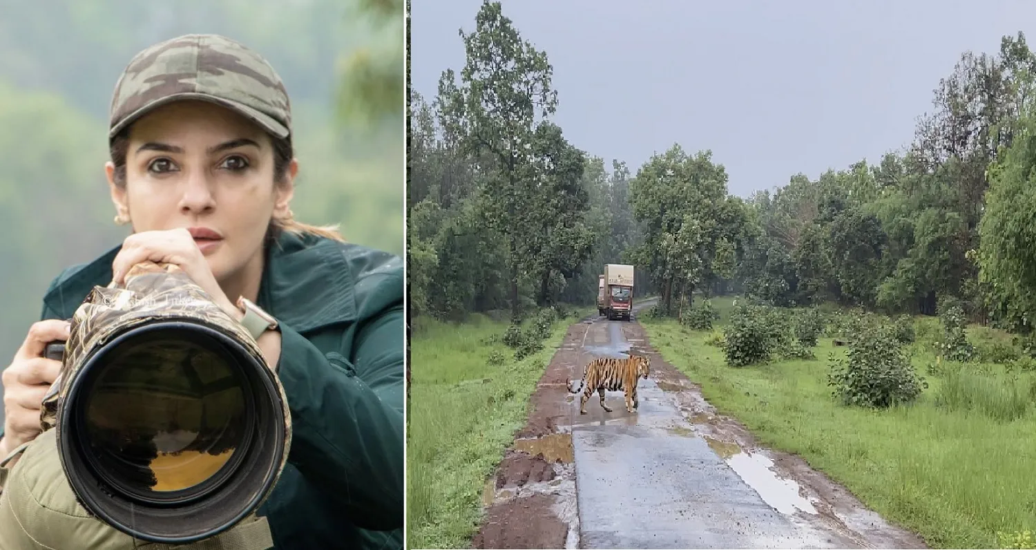 मुश्किल में रवीना टंडन!, टाइगर रिजर्व का वीडियो शेयर करना पड़ा महंगा, अब होंगे सवाल-जवाब