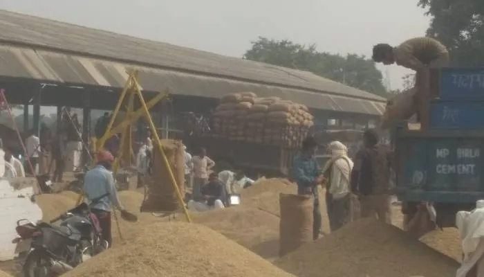 इटावा: सन्नाटे में सरकारी खरीद केंद्र, आढ़तों पर धान बेच रहे हैं किसान