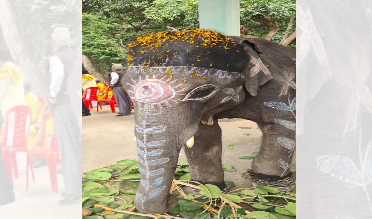 पीलीभीत: माला रेंज में कनार्टक से आए गजराजों, वनराज्य मंत्री, CCF समेत अन्य अधिकारियों ने किया स्वागत
