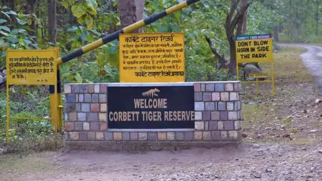 रामनगर: पर्यटकों के लिए खुला चीला, रानीपुर व ढिकाला जोन