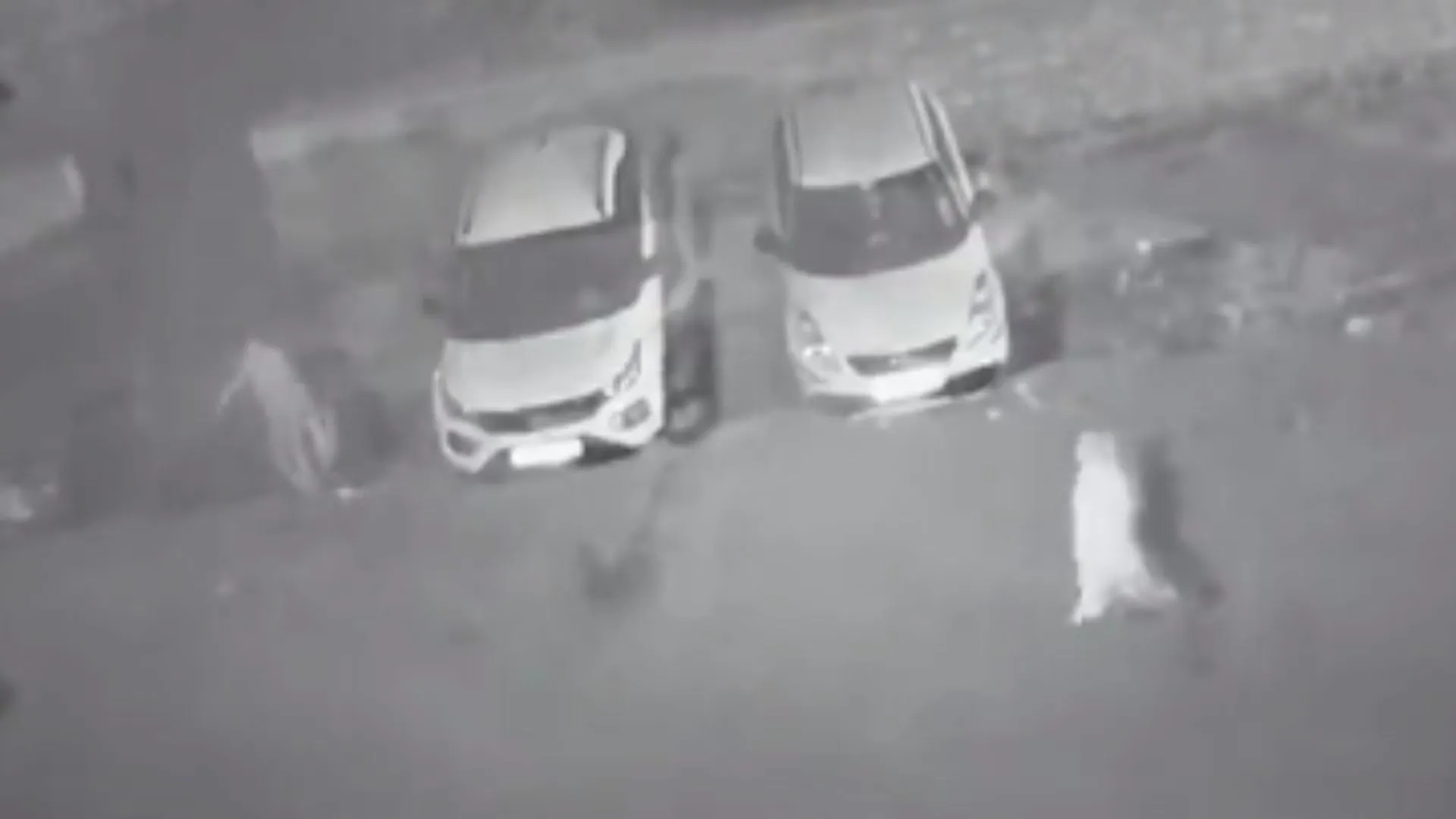 Video: दिल्ली में श्रद्धा मर्डर जैसी एक और वारदात, फ्रिज में काट के रखा शव...रोज फेंका एक टुकड़ा, मां-बेटा गिरफ्तार