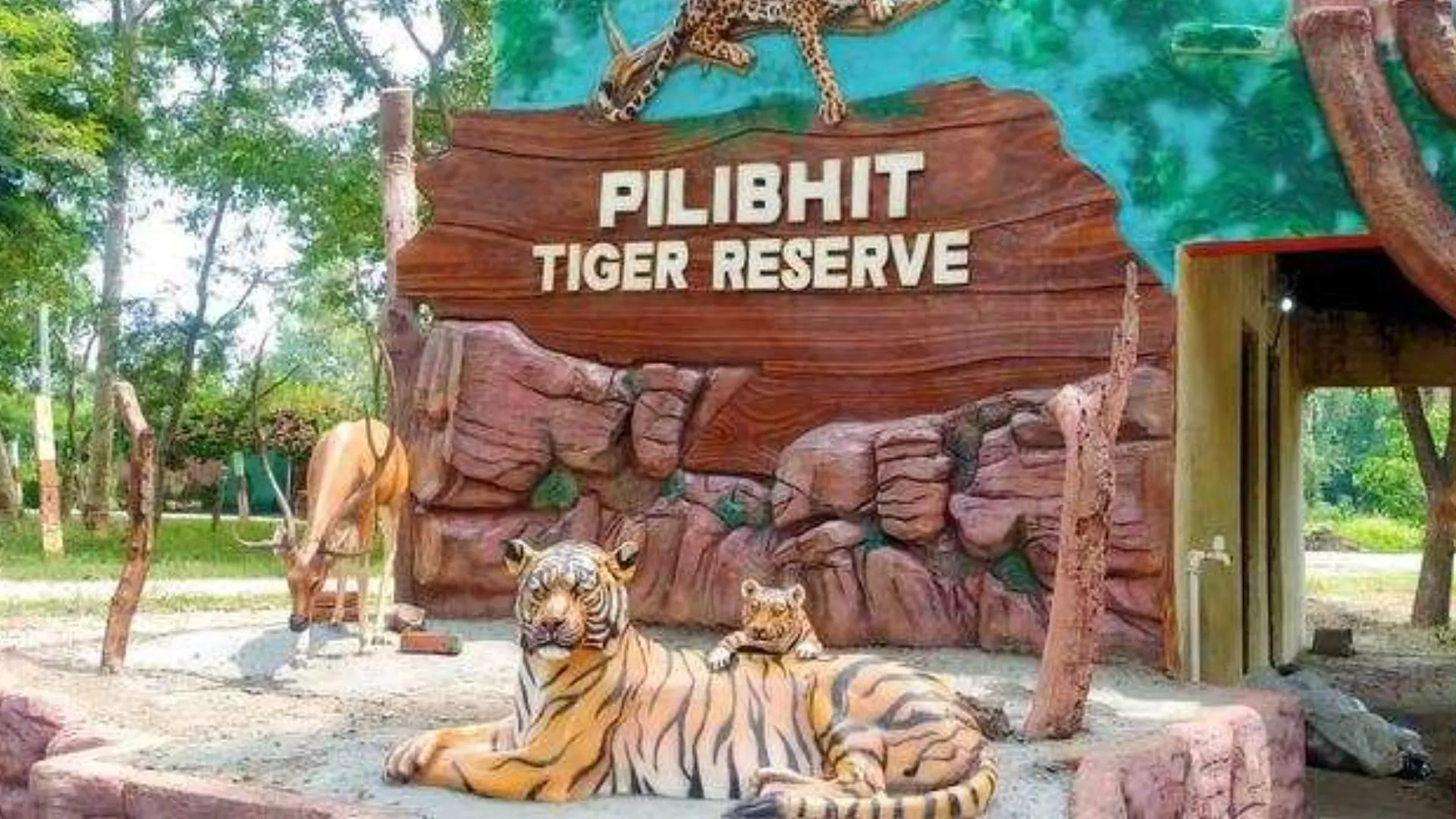 पीलीभीत: ग्रामीण पर बाघ का हमला, अस्पताल में भर्ती, हालत गंभीर 