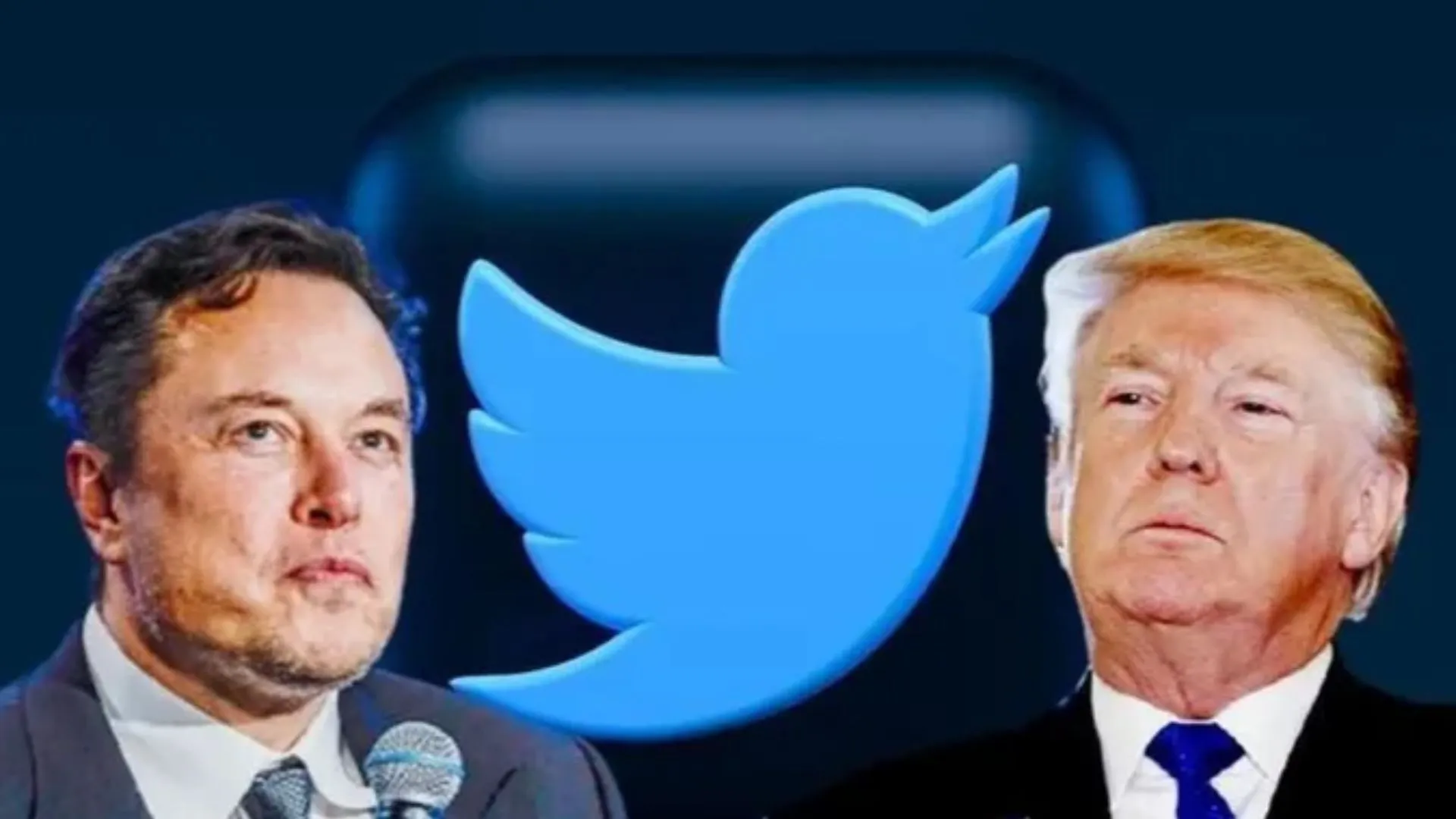 Donald Trump की Twitter पर वापसी, Elon Musk ने कर दिया ऐसा घटिया Post, आप भी देखिए वो Tweet