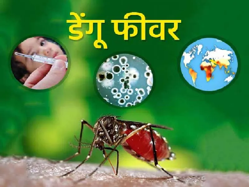 अयोध्या : ठंड बढ़ी तो थम गया डेंगू, जिला अस्पताल के संक्रामक वार्ड में लगा ताला