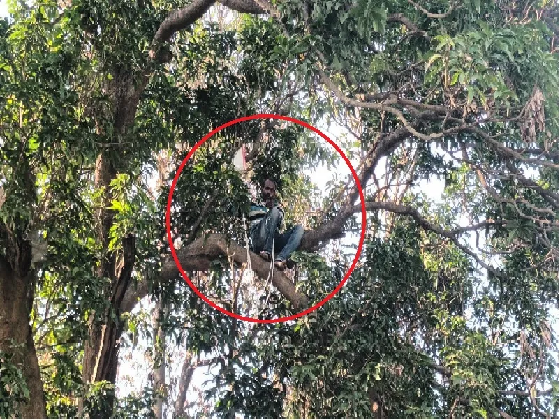 अयोध्या : जब फांसी लगाने के लिए पेड़ पर चढ़ गया पीड़ित तब तहसील ने सुनी फरियाद.. 