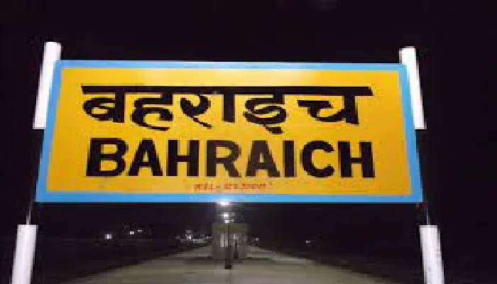 बहराइच : कांजी हाउस में दो गोवंश की मौत, इलाज के अभाव में दम तोड़ रहे मवेशी
