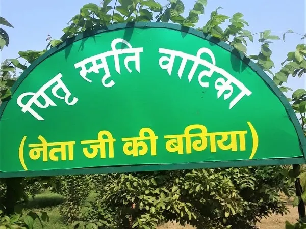 रामपुर में बनेगा दुनिया का पहला पितृ स्मृति वन, अस्थियों की राख के साथ रोपे जाएंगे पौधे