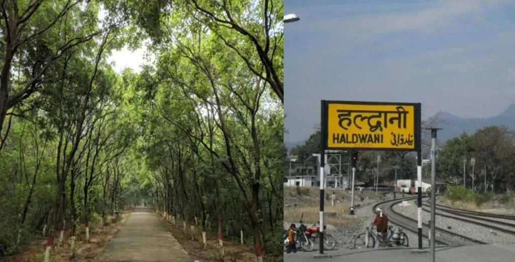 हल्द्वानी: सिटी फॉरेस्ट के लिए वन विभाग ने प्राधिकरण से मांगे  4.25 करोड़