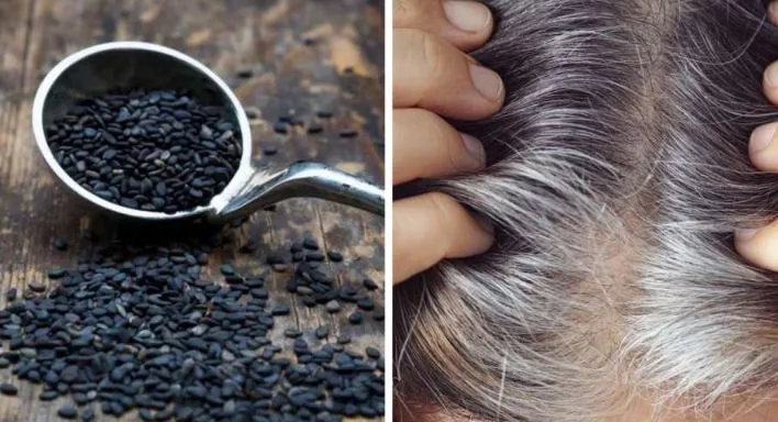सफेद हो रहे बालों के लिए रामबाण है काले तिल का लेप, जानें बनाने का तरीका और फायदे