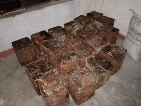 टनकपुर: वन विभाग की टीम ने 207 टिन लीसा बरामद किया