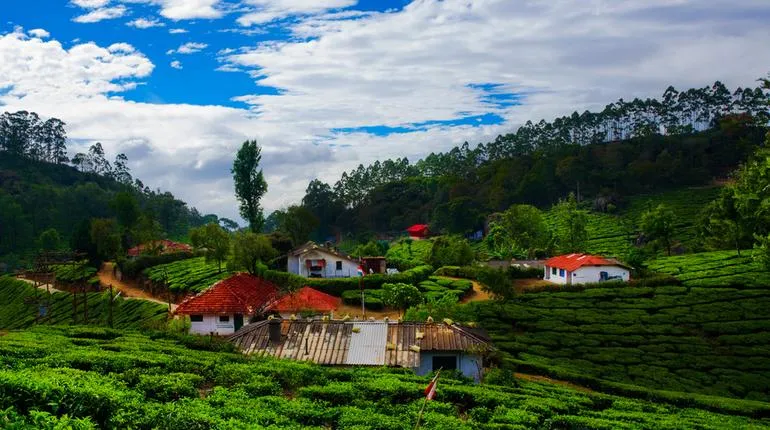 भारतीय पर्यटक 2023 में दुनिया देखने के लिए अपने दैनिक खर्चों में कटौती करने के लिए तैयार: कायक 