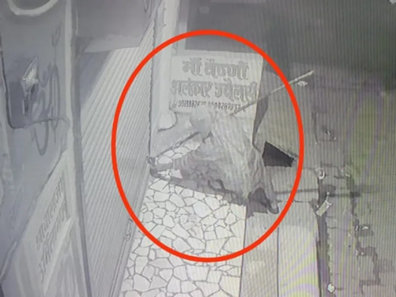 उन्नाव: नकाबपोश महिला ने ज्वैलरी शॉप में ताला तोड़ने का किया प्रयास, सीसीटीवी में हुई कैद