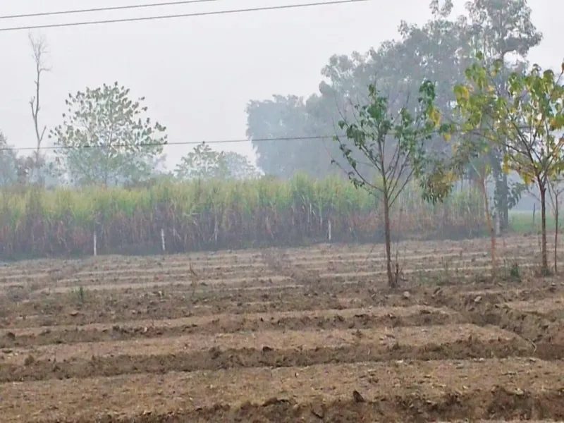 बहराइच: 22 घंटे से 110 गांवों और जंगल के पर्यटक विश्राम गृहों की बिजली गुल 