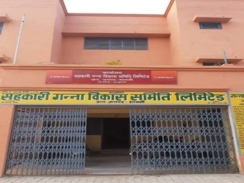 लखनऊ: गन्ना समितियों और प्राधिकरणों में बढ़ा हुआ डीए लागू, 5 हजार कर्मचारियों को मिलेगा लाभ