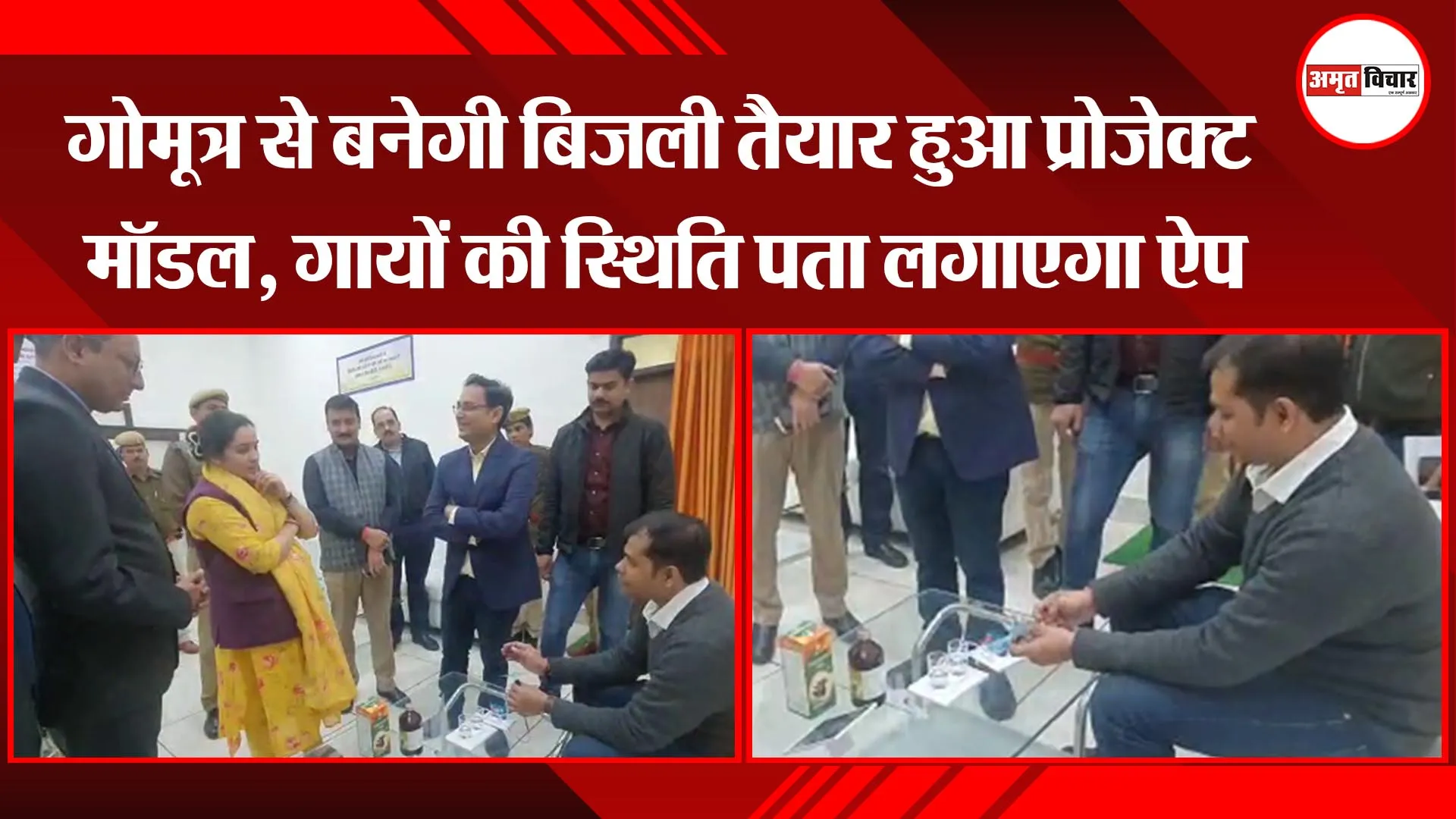 लखनऊ: गोमूत्र से बनेगी बिजली तैयार हुआ प्रोजेक्ट मॉडल, गायों की स्थिति पता लगाएगा ऐप