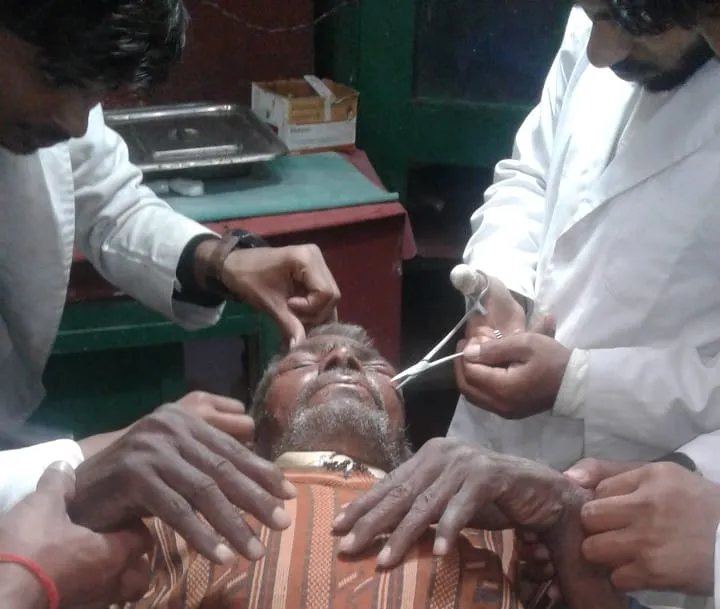 अयोध्या: मधुमक्खी के हमले में दो बुजुर्ग घायल, बालक सर्पदंश का शिकार