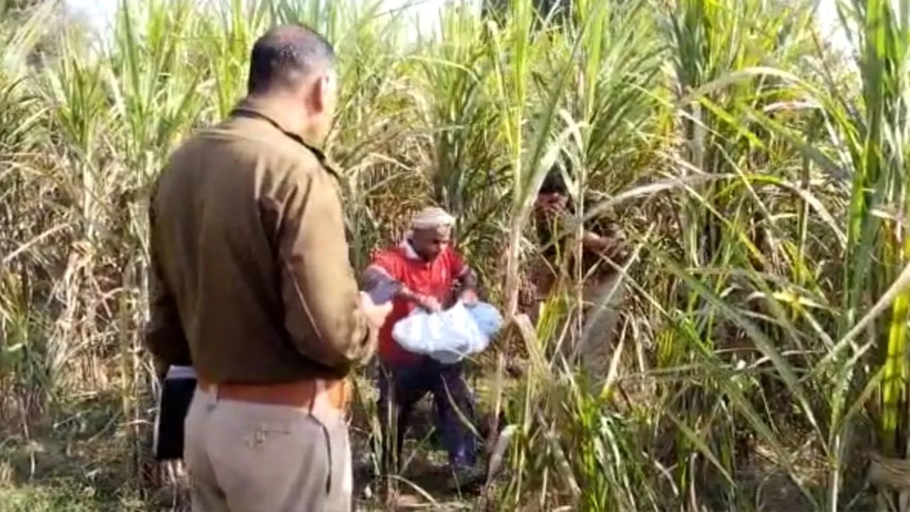 मेरठ: 10 साल के बच्चे की सिर कटी लाश मिलने से हड़कंप, शव को नोंच रहे थे कुत्ते