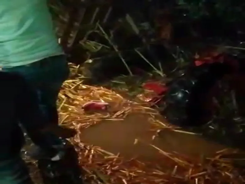 गोंडा: नाले में गिरी गन्ने से भरी ट्रैक्टर ट्रॉली, चालक की मौत 