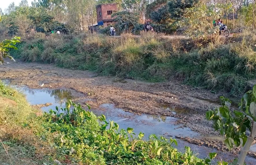 बरेली: फसलों को पानी की दरकार, नहरों में गंदगी का अंबार