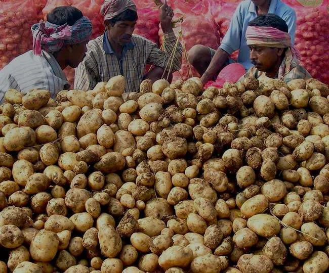 क्रेता-विक्रेता सम्मेलन से बढ़ेगा आलू का निर्यात, जनवरी में आगरा, पटना व मुंबई में कार्यक्रम